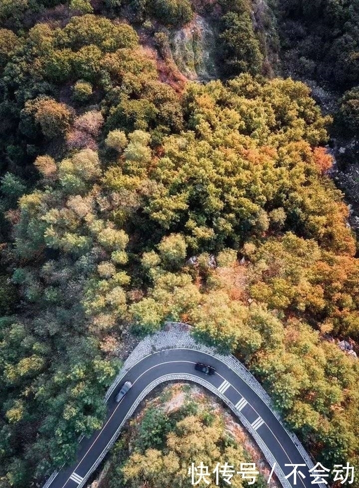 这儿有最美的公路，行走的山水画，速来打卡！！