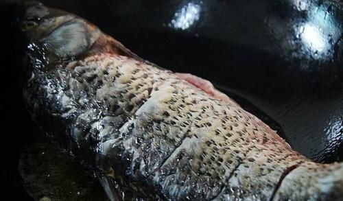 鱼刺卡在喉咙里,不要只会喝醋了,教你1招,鱼刺自己跑出来!