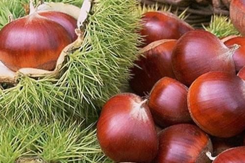 排毒養(yǎng)顏|好食物吃出好身體，推薦以下食物，排毒養(yǎng)顏，越來越美，值得試試