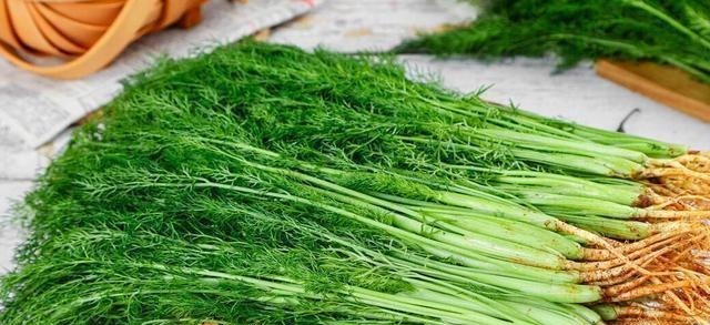 用茴香包饺子,万不可直接包,多加1步,茴香更翠绿,饺子更鲜香