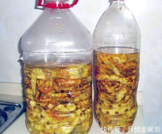 好东西|此种“好东西”，给君子兰“喂1点”，冒出“大花苞”，花期长！