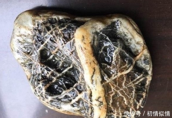 丢掉|小伙野外捡到一块石头,村民说不干净要丢掉,鉴定后结果喜人