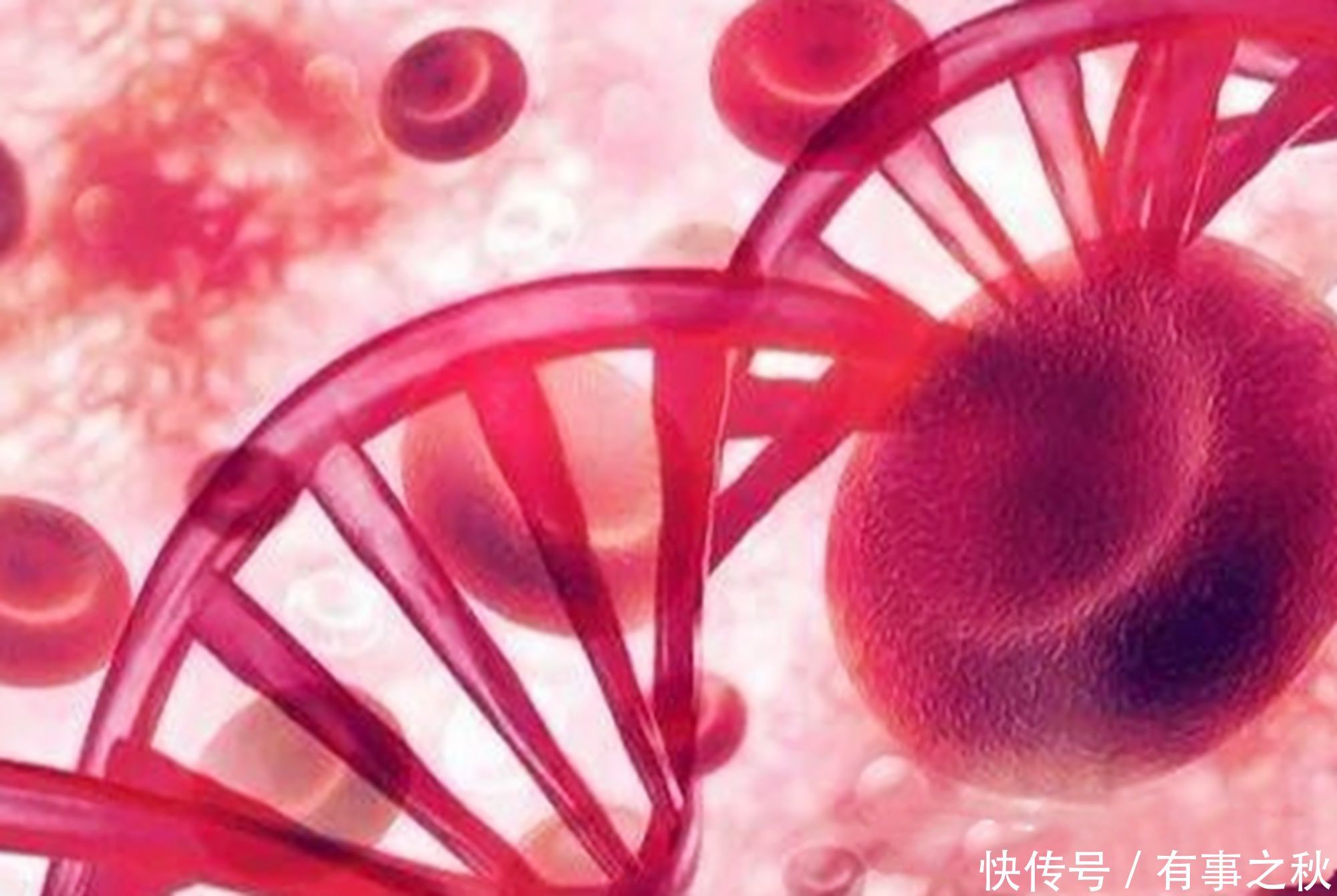 女性|这2种血型的女性,第一胎最好不要流,否则再怀孕风险会成倍增加