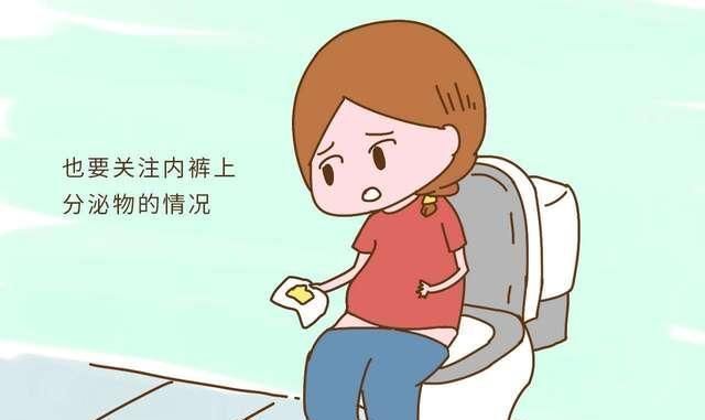 超声检查|怀孕后除了胎动,“内裤”也能传递胎儿健康状况这些你该知道