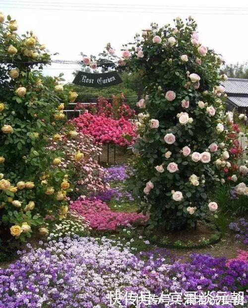 郁金香|7个绝美花园,个个美炸了天,等有钱了我也要建一个