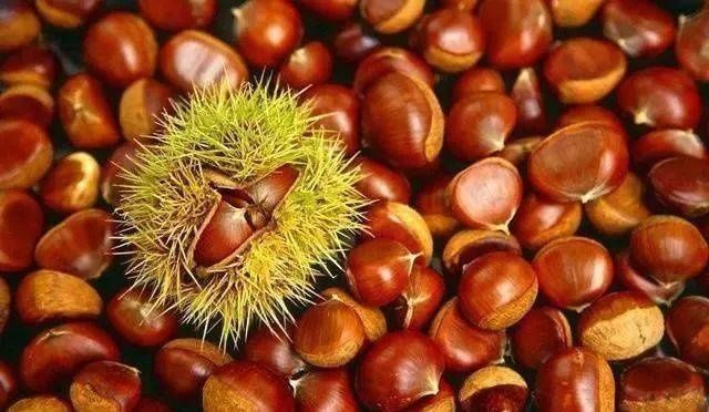 香甜|买板栗,圆的与扁的哪个甜牢记4点,板栗软糯香甜,一买一个准