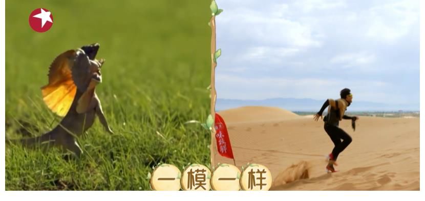 王迅|虞书欣被聘沙漠环卫工？ 《极限挑战宝藏行》良心公益该有的亚子