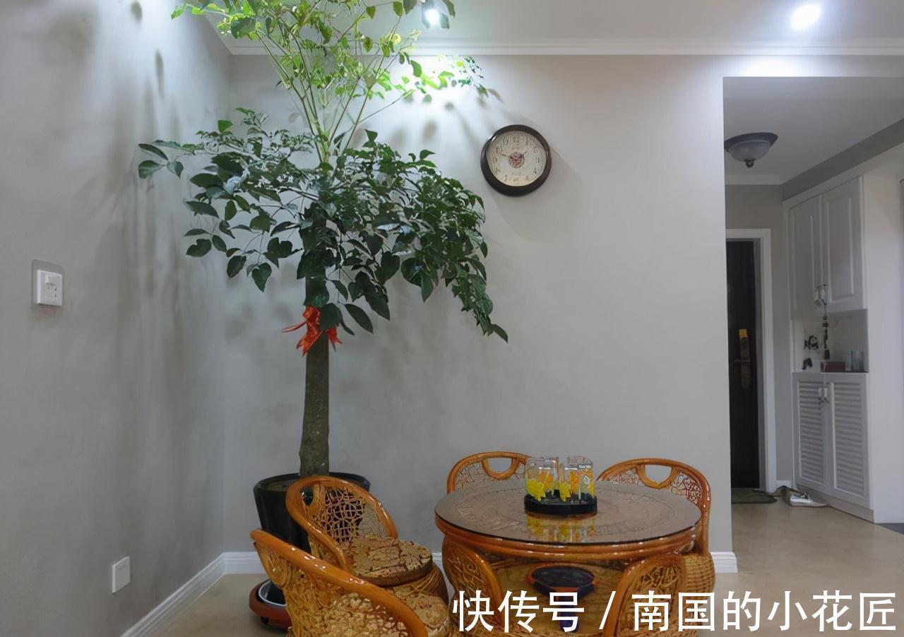 钢化玻璃|晒晒新房,一体式设计,主卧飘窗简单温馨,难怪婆婆不走!