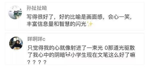 “她就是我的光!”小学生作文“暗恋”走红,网友:鲁迅的风格