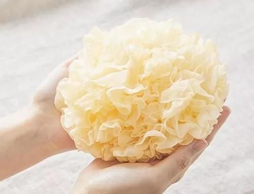 豆类食品|女性进入更年期后，一般会持续多少年？建议女性了解一下