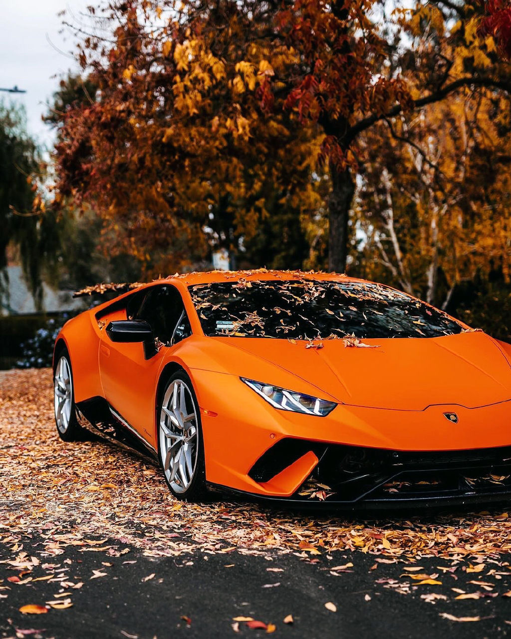  科幻的设计风格 兰博基尼 Huracan Performante 开着很有排面