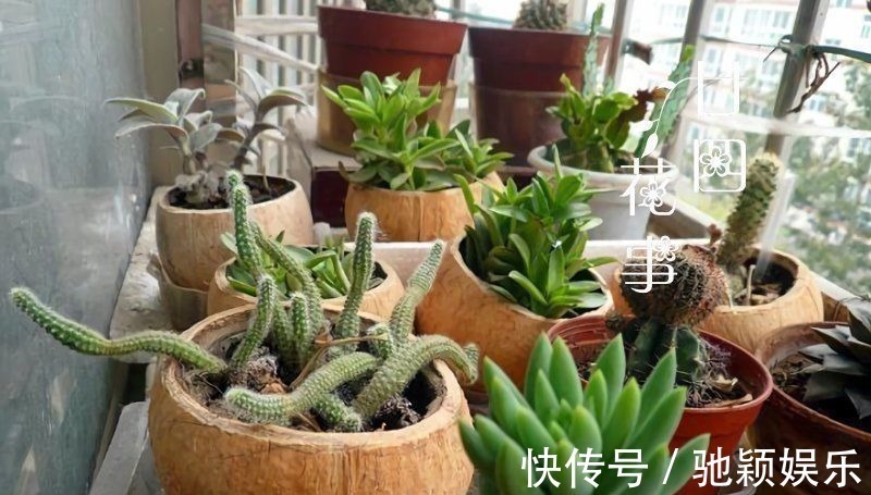 角磨机|7种“废料”做花盆,不花一分钱,花盆用不完,比买的还精致