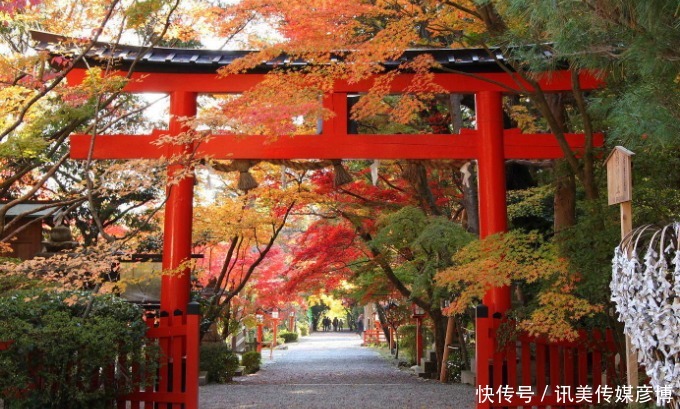 来过日本旅游的游客,都知道这的水果很贵,很多人直呼消费太高