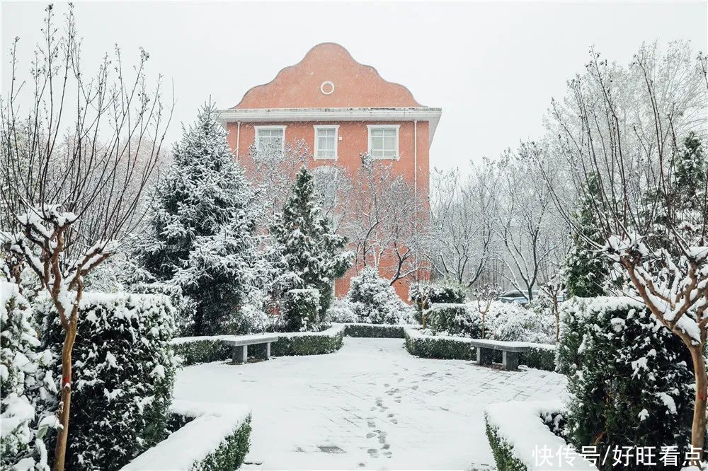 西安翻译学院：银装素裹雪景美如画