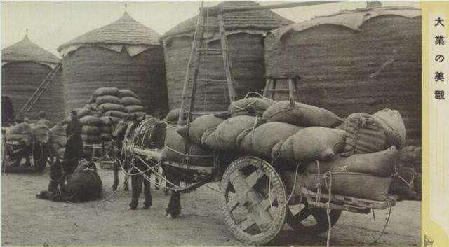 二战|二战，一个日本五口之家逃进原始森林，40年后变什么样了？