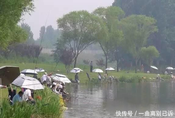 如何挑选野钓用的浮漂,只要满足这两点就行