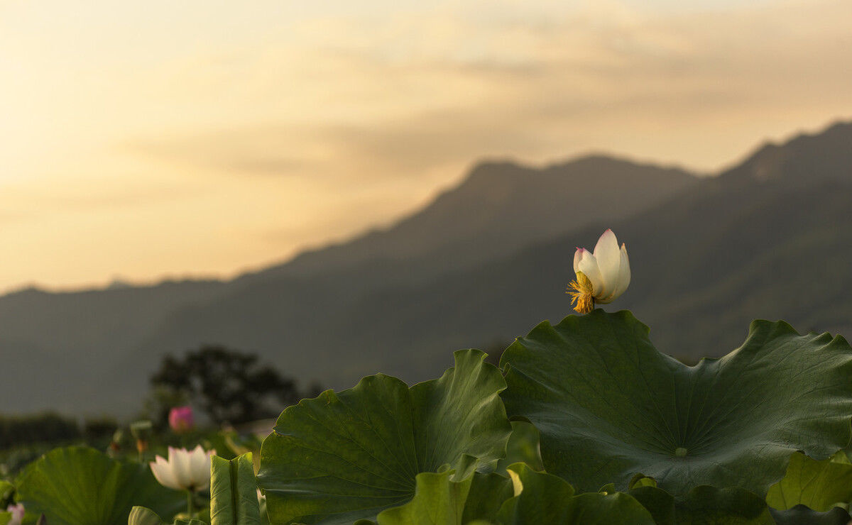 匈奴单于|王莽篡汉：干了许多蠢事，破坏汉匈关系，西汉雄风不再