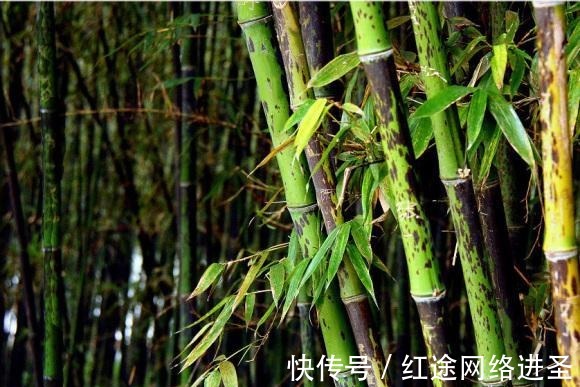 娥皇女英|她们是亲姐妹，虽共侍一夫，但齐心助丈夫问鼎皇位，最后殉情投江