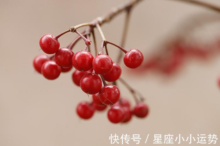 好运|11月份，时来运转，好运连连，事业不断晋升的三个生肖