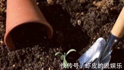 花盆里换下来的土能用吗,怎么正确再利用
