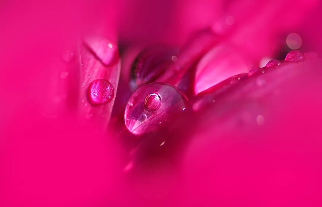 大道至简，繁在人心|诗词 | 茅草屋