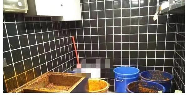 火鍋店|杜海濤經(jīng)營(yíng)火鍋店被責(zé)令停業(yè)，食品衛(wèi)生堪憂，菜品中有蒼蠅