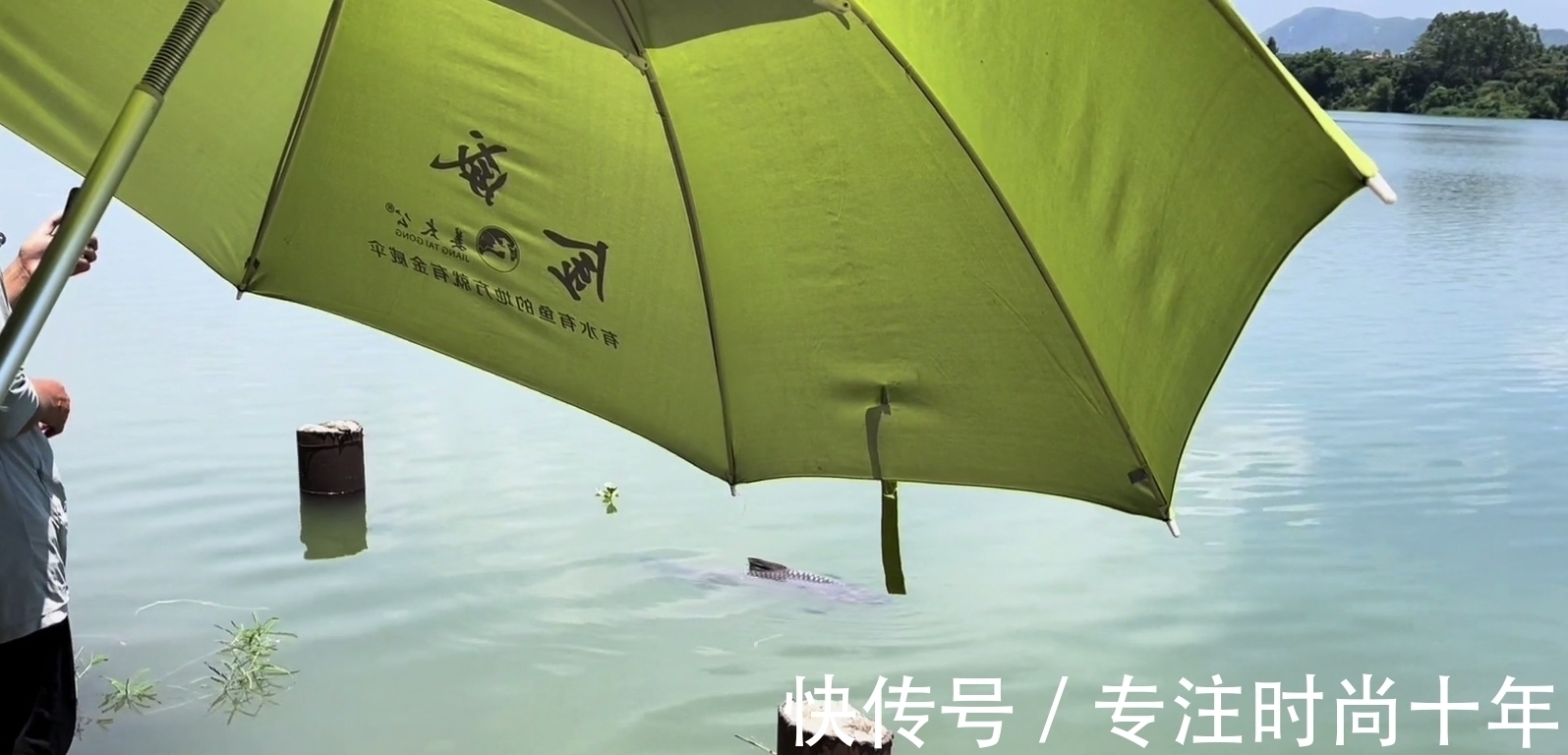 可惜!小伙东江钓了条大青鱼,有人3000预定,结果人没到鱼就死了