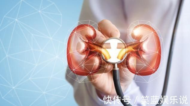 降压药|高血压病友不想“肾早衰”,拖累下半生!降压过程中5点别大意