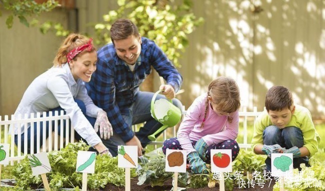 男孩|培养男孩坚持5个原则,长大肯定了不起,越早知道越好