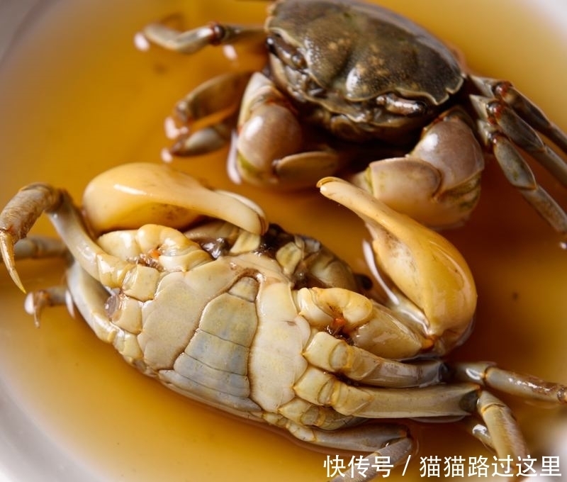 并非|因为长得太美,这种螃蟹让人不忍下嘴,怎奈还是沦为食材