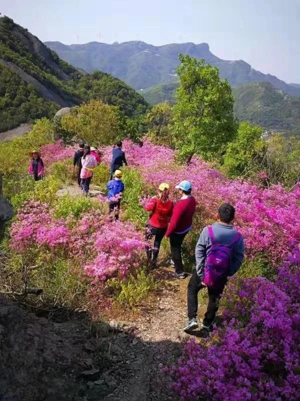 与春天的第一场约会，就从象山的这里开始吧~~