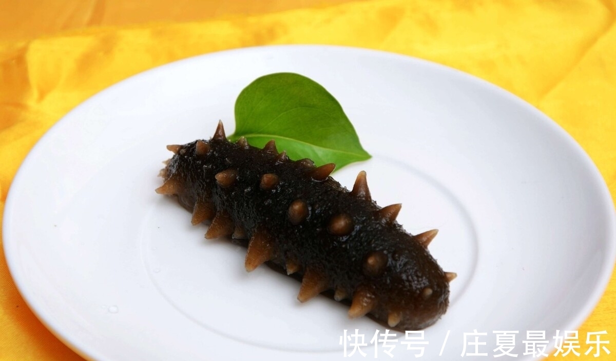 海参|国足正式回应吃海参,声称:输了喝水都是错,球迷批评不知悔改