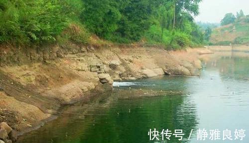 民间野钓草鱼的几种“野路子”，效果好的没话说，上钩全是大草鱼