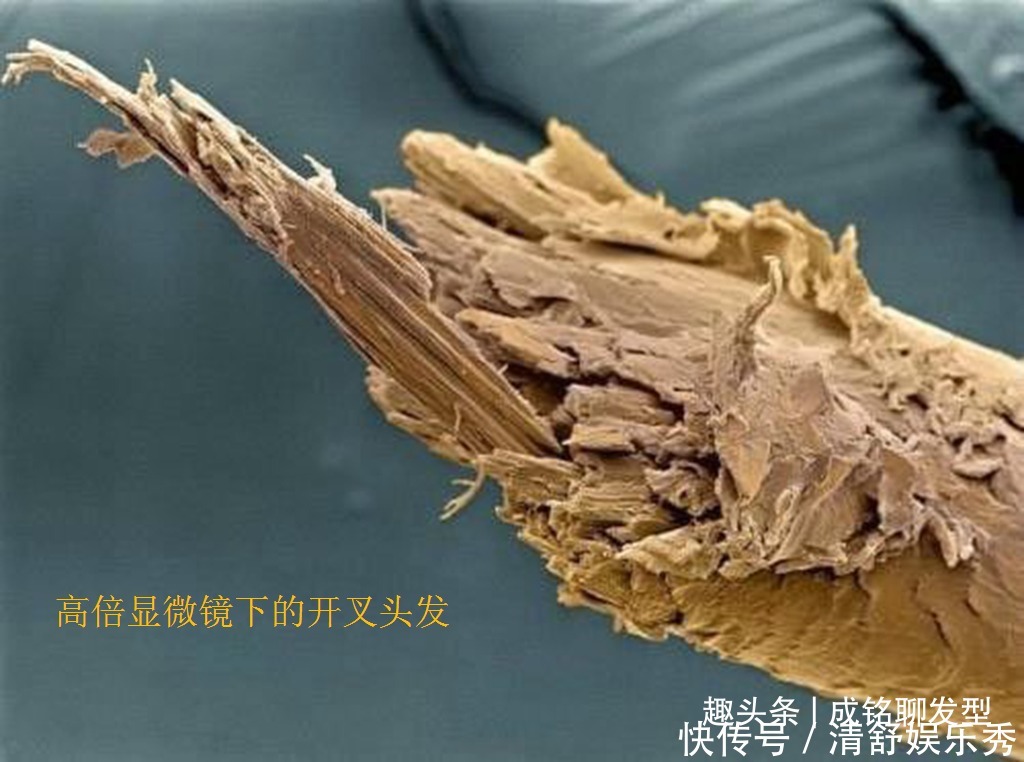 涂抹|经常染发的老年人,要养成这三个养护好习惯,头皮健康不伤发