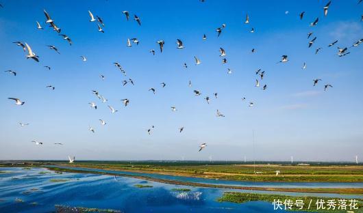 煮饭|他用50年,做出一碗让人幸福感爆棚的白米饭!