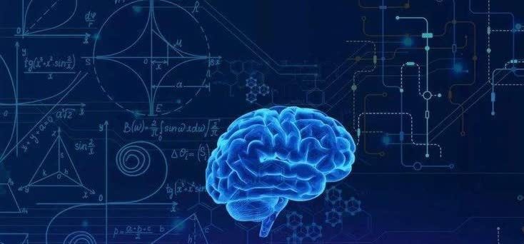 灰质|麻省理工研究发现:孩子大脑发育的最佳方式,并非是靠“阅读”