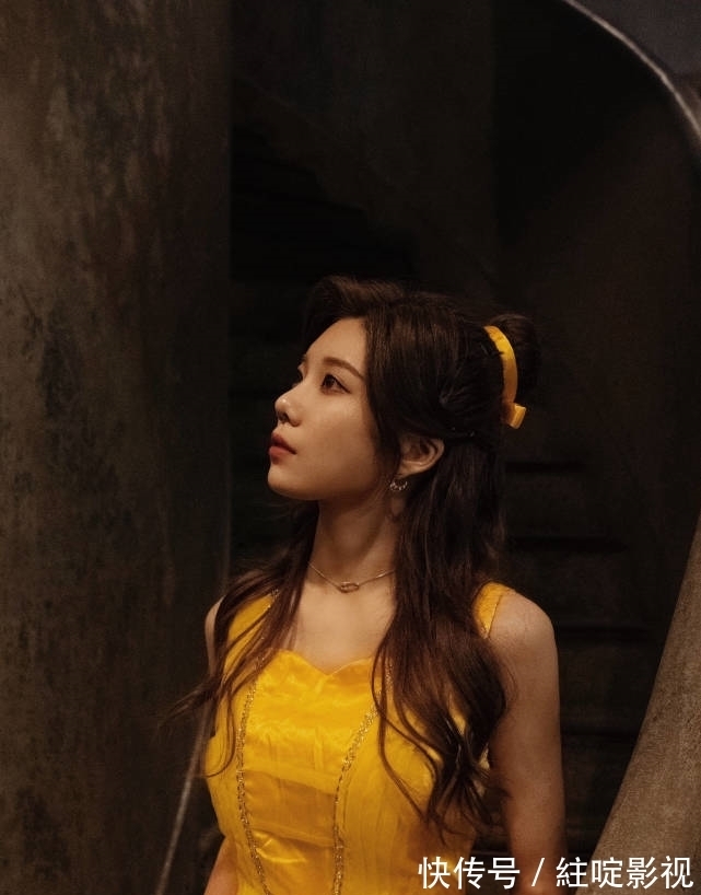 沈梦瑶,SHN48女团成员