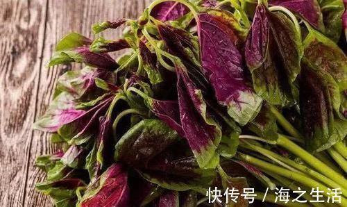 疾病|便秘的“死对头”，每天吃两口，排出宿便，远离疾病困扰