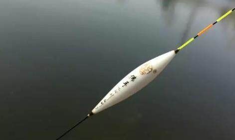 真口少,假口太多,老是不上鱼关键问题出在这里