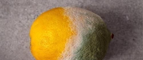 父母|转告父母:五类食物,吃得越多,伤害越大,看看有你爱吃的吗?