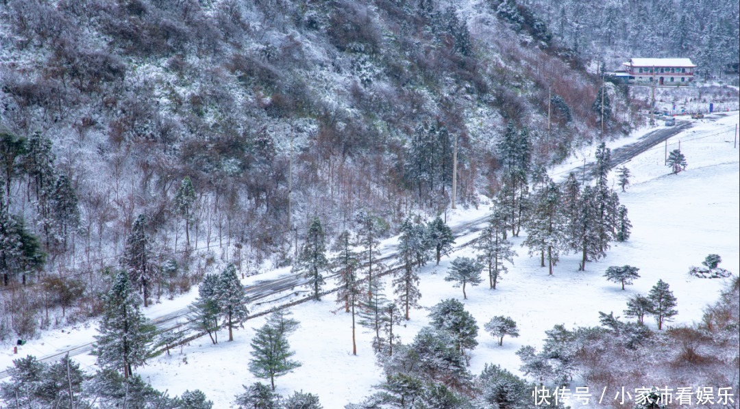 重庆主城|下雪了！雪玉山今冬第一场雪已“到货”，美景刷爆朋友圈！