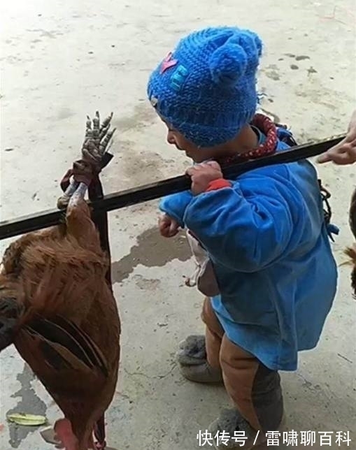 农村|城里宝宝送回农村让奶奶带了一段时间，结果变成了这熊样！