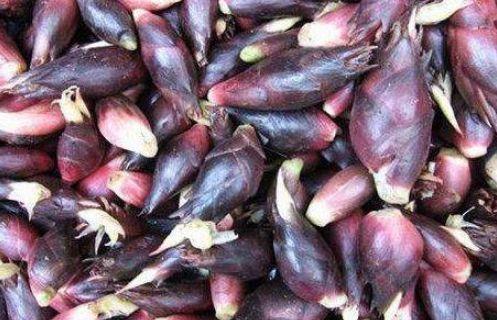 维生素b12|每天可以多吃3种食物,营养丰富、滋润肌肤,身体棒棒哒!