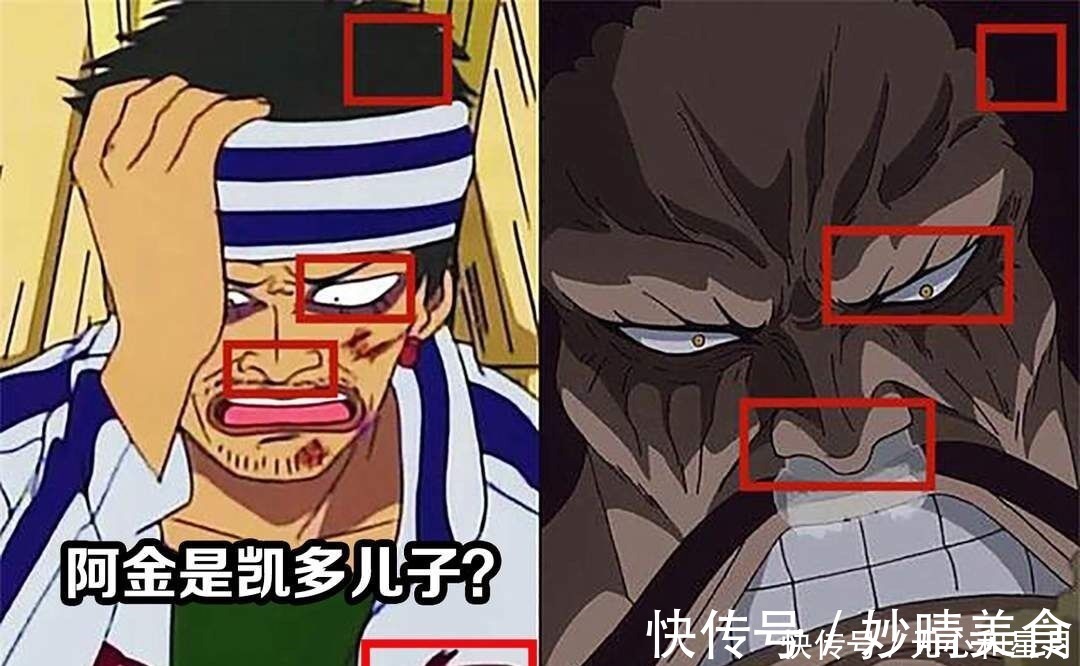 山治|海贼王983话 阿金确实是大和,有图有真相,阿金太不容易了