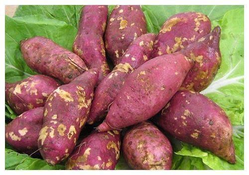 燃脂|女人爱美，推荐三种食物，美容润肤，排毒燃脂，营养又瘦身