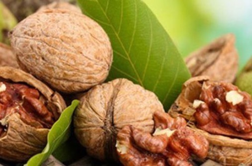鞣酸|吃完核桃后要当心,切忌碰此物,有很多人不清楚,值得分享给家人