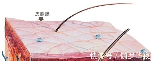 刑罚&古代刑罚中的酷刑,不停滴水以击穿人体,“水滴肉穿”真的可行?