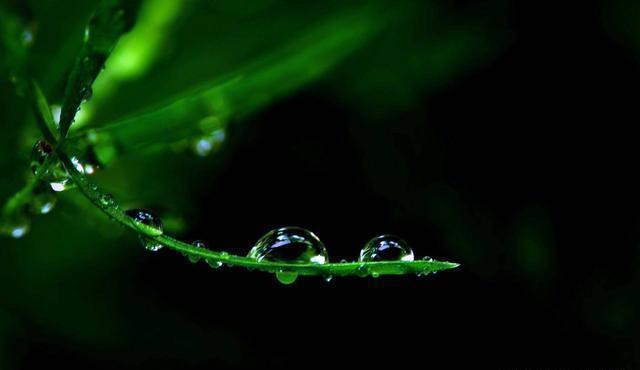 明哲保身&越是深藏不露的人,往往懂得这三条天规,懂一个,就很好!