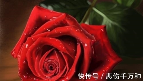 生属兔|这4大生肖将在下周被财神点名,财运滚滚,事业步步高升