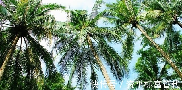 生肖|12生肖中,3生肖忠孝两全,福气不浅,平凡也能绽放光彩做富翁